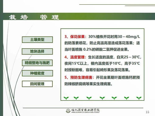 黨建引領(lǐng)謀發(fā)展，科技助農(nóng)備春耕 網(wǎng)絡(luò)課堂之辣椒栽培技術(shù)要點(diǎn)與網(wǎng)絡(luò)技術(shù)開發(fā)融合新路徑